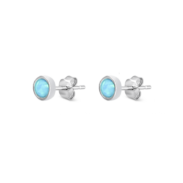 FRAMED ROUND SHELL STUD SILVER EARRING